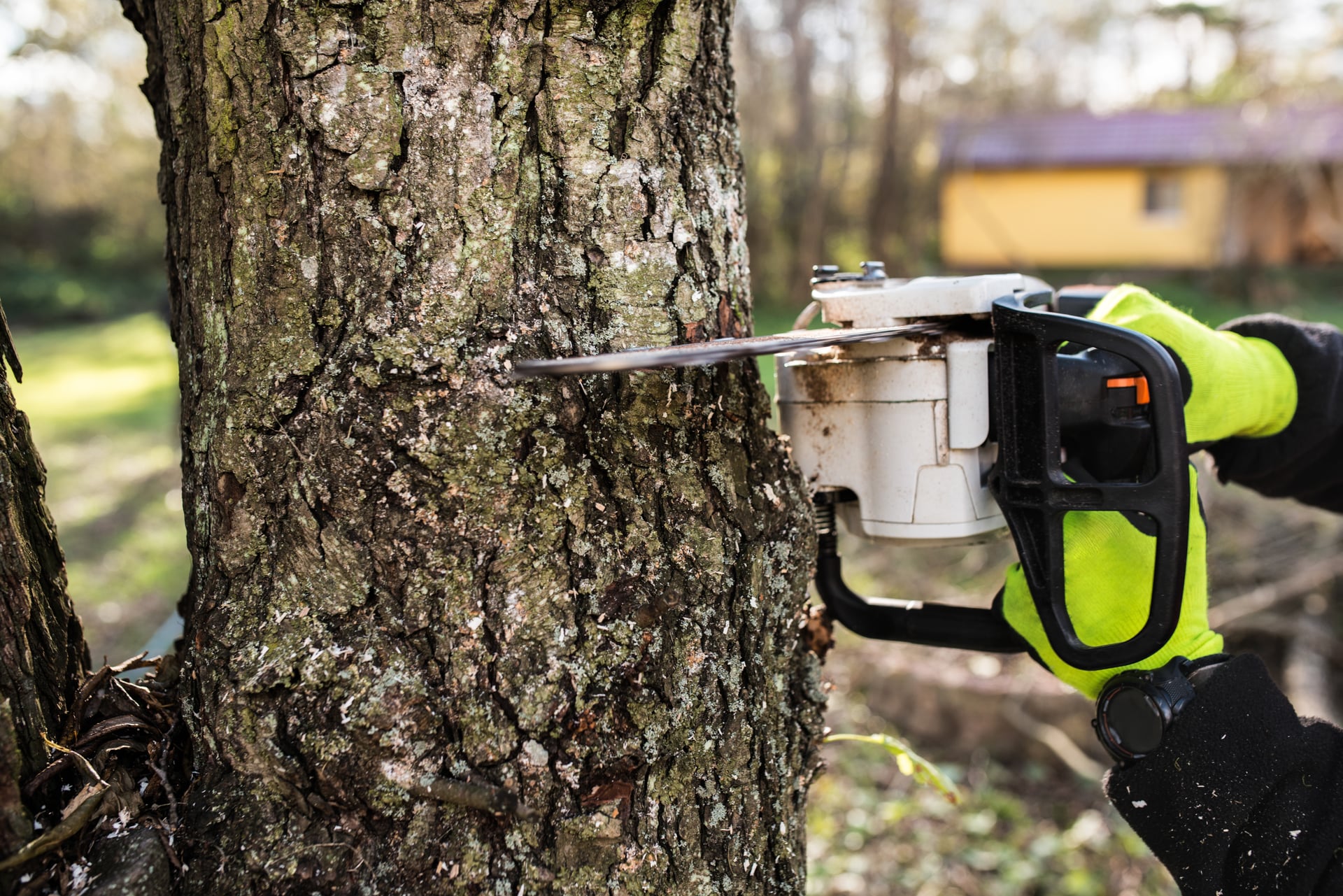 Stump Grinding