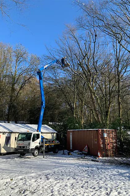Tree Surgery