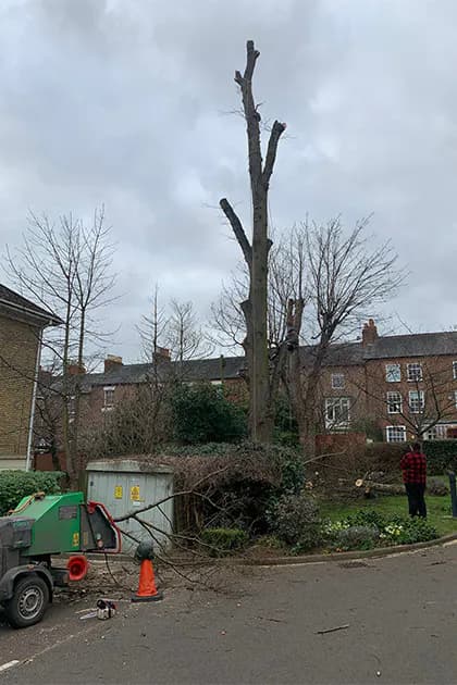 Oaklands