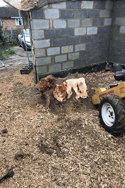 Stump Grinding