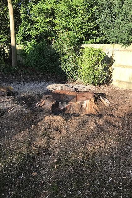 Stump Grinding