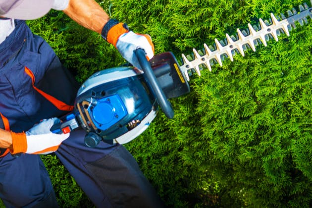 The Benefits of Regular Hedge Trimming for Your Garden's Health
