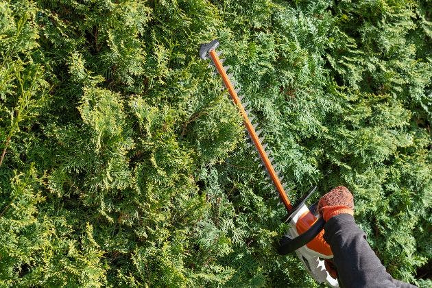 Can Hedge Trimming Prevent Damage To Property Boundaries
